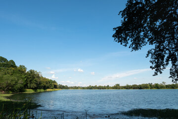 Scenic view of rural pond surrounded by the trees against clear blue sky and clouds background.