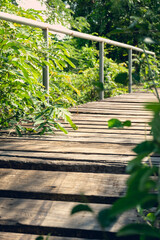 Close up view of wooden and steel bridge against Cassia siamea leaves.