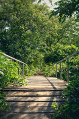 Close up view of wooden and steel bridge connecting dirt road among the trees.