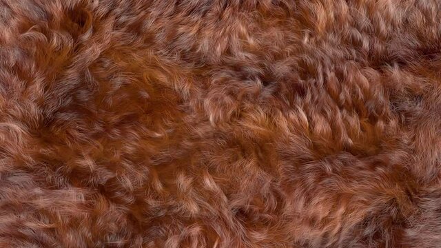 Close up of curly brown fur animation, 3D generated, slow motion brown fur texture.