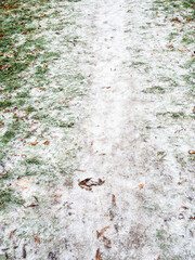 frozen trodden footpath in city park after freezing rain on cold autumn day