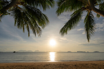 morning sun light reflection on sea beach with coconut leaf border