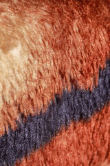 Tiger blanket texture, sparkles in the sun