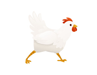 Cute white chiken farm agriculture hen rooster cartoon animal design flat vector illustration