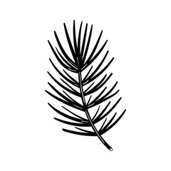 Spruce branch, pine tree element. Christmas plant. Logo monochrome design. Line art. Ink vector illustration. Isolated on white background.