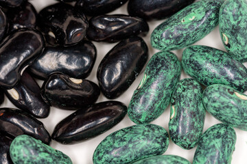 Green bean seeds, natural ones and chemical coated seeds