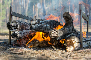 Bonfire In The Spring Forest. Coals Of Fire