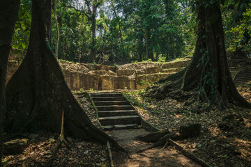 Overgrown Maya temple ruins in lush tropical forest at archaeological site of Palenque, Chiapas, Mexico