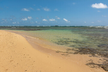 Sand beach along Malaekahana Bay, Oahu, Hawaii
