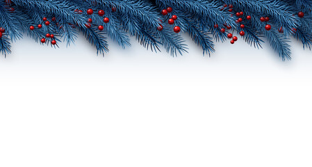 Christmas blue fir background with red berries.