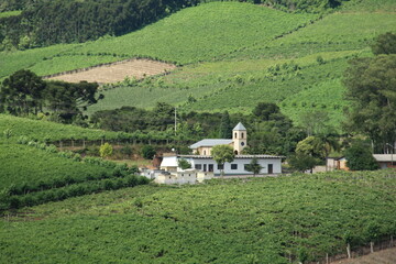 àrea rural no Vale dos Vinhedos, Monte Belo do Sul, Rio grande do Sul, Brasil 
