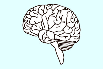 脳　線画　ベクターイラスト