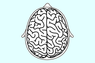 脳　線画　ベクターイラスト