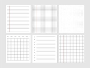 Notebook paper sheet document. Graphical blank paper sheet set for data representation.