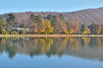 Obraz premium Autumn landscape with a lake on the shore of which trees grow