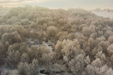 Scenic aerial landscape of winter forest. Frozen tree branches