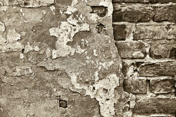 part of an old wall in the style of sepia