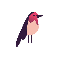 bird abstract icon vector design