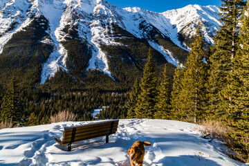 Snow covered Kananaskis Ranges. Peter Lougheed Provincial Park