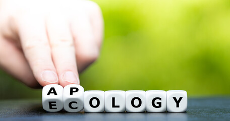 Apology to ecology. Dice form the words apology and ecology.