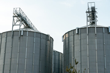 silver silos on agro manufacturing plant for processing drying cleaning and storage of agricultural products, flour, cereals and grain. Large iron barrels of grain. Granary elevator
