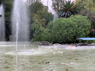 Parque México, Ciudad de México