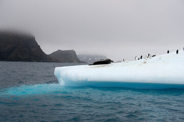 South Orkney landscape with icebergs on a cloudy winter day
