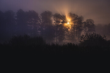 Fototapeta premium Sunrise in Gorki village in Kampinos Forest, Masovia region of Poland