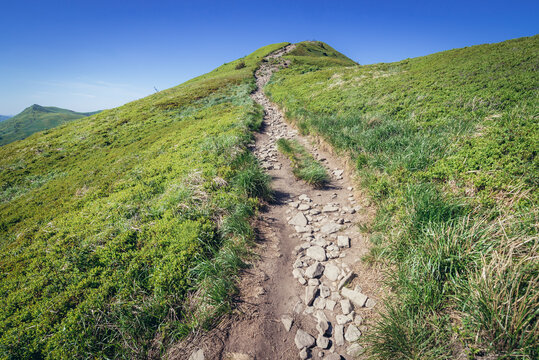 Hking path to mount Halicz in Bieszczady National Park, Subcarpathian Voivodeship of Poland