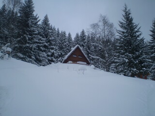 Cabin covered in snow