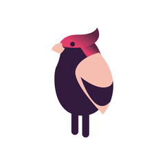 bird abstract icon vector design