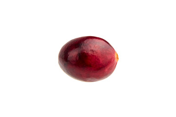 Fresh cranberry isolated on white