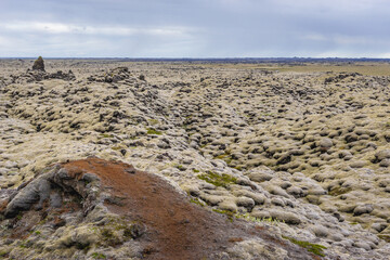 Skaftareldahraun lava fields covered with moss in Iceland