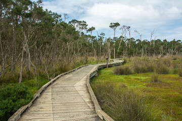 The boardwalk through the mangroves at the Rhyll Inlet wetlands on Phillip Island, Victoria, Australia