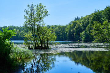 Landschaften um Berlin - Wanderung in Brandenburg von Wandlitz nach Lanke zwischen dem Obersee und...
