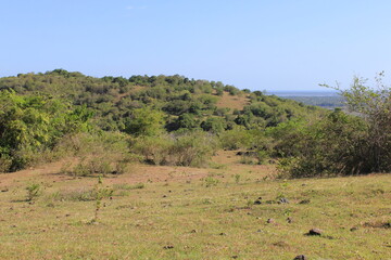 Naklejka na ściany i meble Pinrang, Sulawesi Selatan Indonesia. View of a small hill during the day. August 7 2014