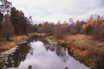 In the river with banks covered with vegetation reflects the forest . Autumn landscape. Horizontal orientation