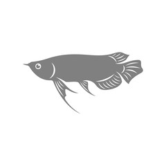 Arowana fish logo vector template, Creative Arowana fish logo design concepts, icon symbol, illustration