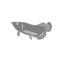 Arowana fish logo vector template, Creative Arowana fish logo design concepts, icon symbol, illustration