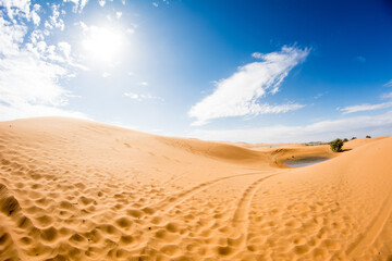 Naklejka premium sand dunes in the desert