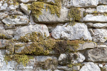 Texture of an ancient, stone wall with plants and moss close-up