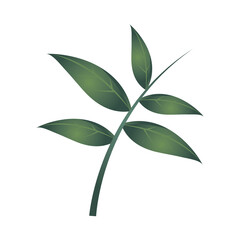 branch foliage plant ecology nature icon isolated