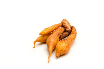 Close up of fingerroot Thai herb. Krachai ,Chinese's Ginger