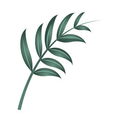 branch foliage vegetation with leaves icon isolated