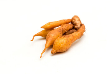 Close up of fingerroot Thai herb. Krachai ,Chinese's Ginger