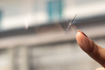 Broken windshield of a car. A web of radial splits, cracks on the triplex windshield. Broken car...