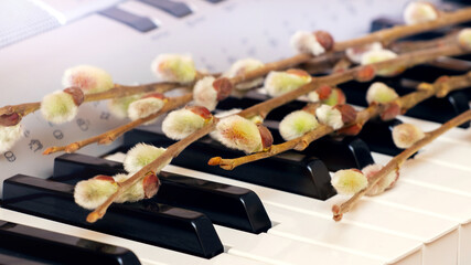 Willow branch with cattails on piano keys