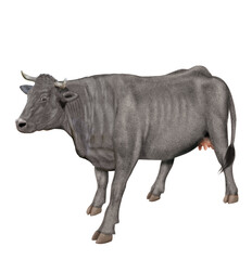 vache laitière, animal, ferme, bétail, blanc, grise, gazon, agriculture, bétail, boeuf, taureau, champ, alpage, mammifère, isolé, prairie, mollet, lait, nature, rural, vache laitière, vert, domestique