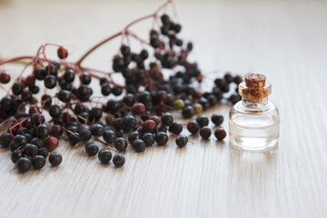 elderberry essential oil (tincture, extract, infusion) with fresh elderberry on wooden background