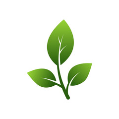 leaf icon vector illustration design